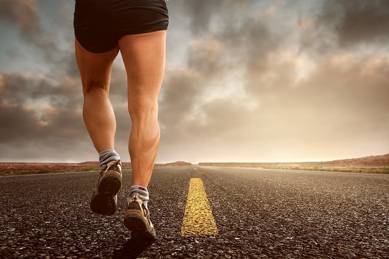 Global Fitness Journeys